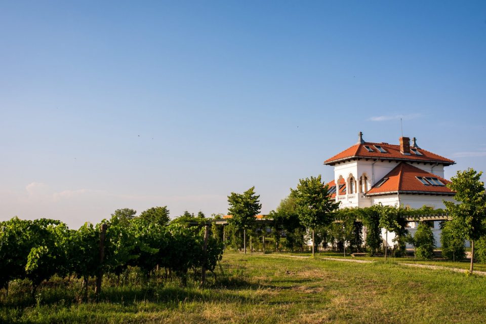 Avincis winery, Romania