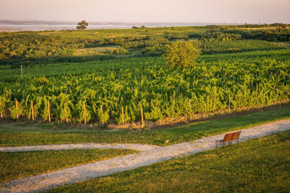 Avincis winery, Romania