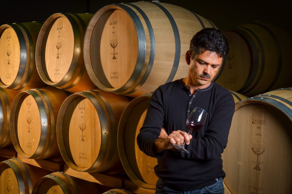 Bogdan Costachescu, Davino Winery